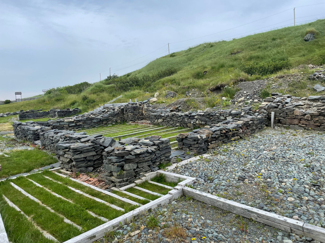 Colony of Avalon-Ferryland必去景点