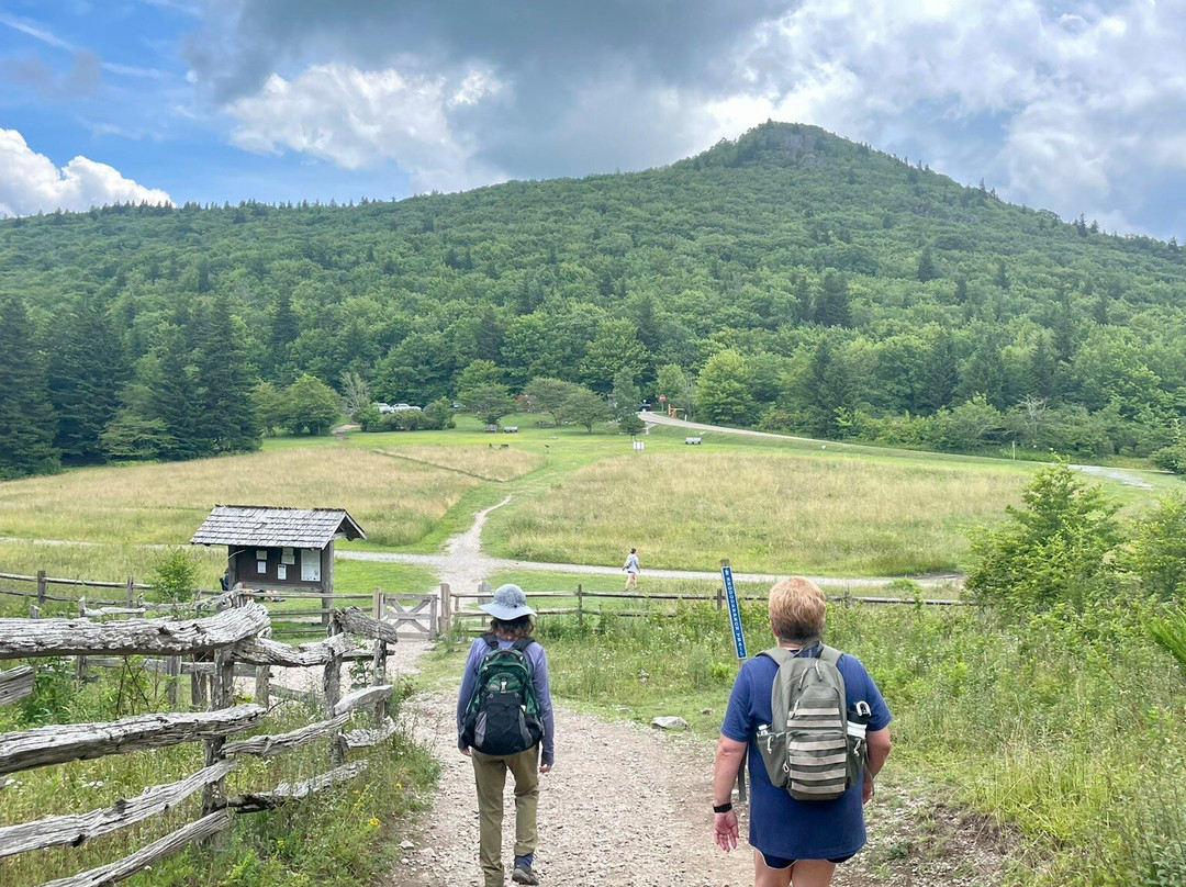 Grayson Highlands State Park景点图片