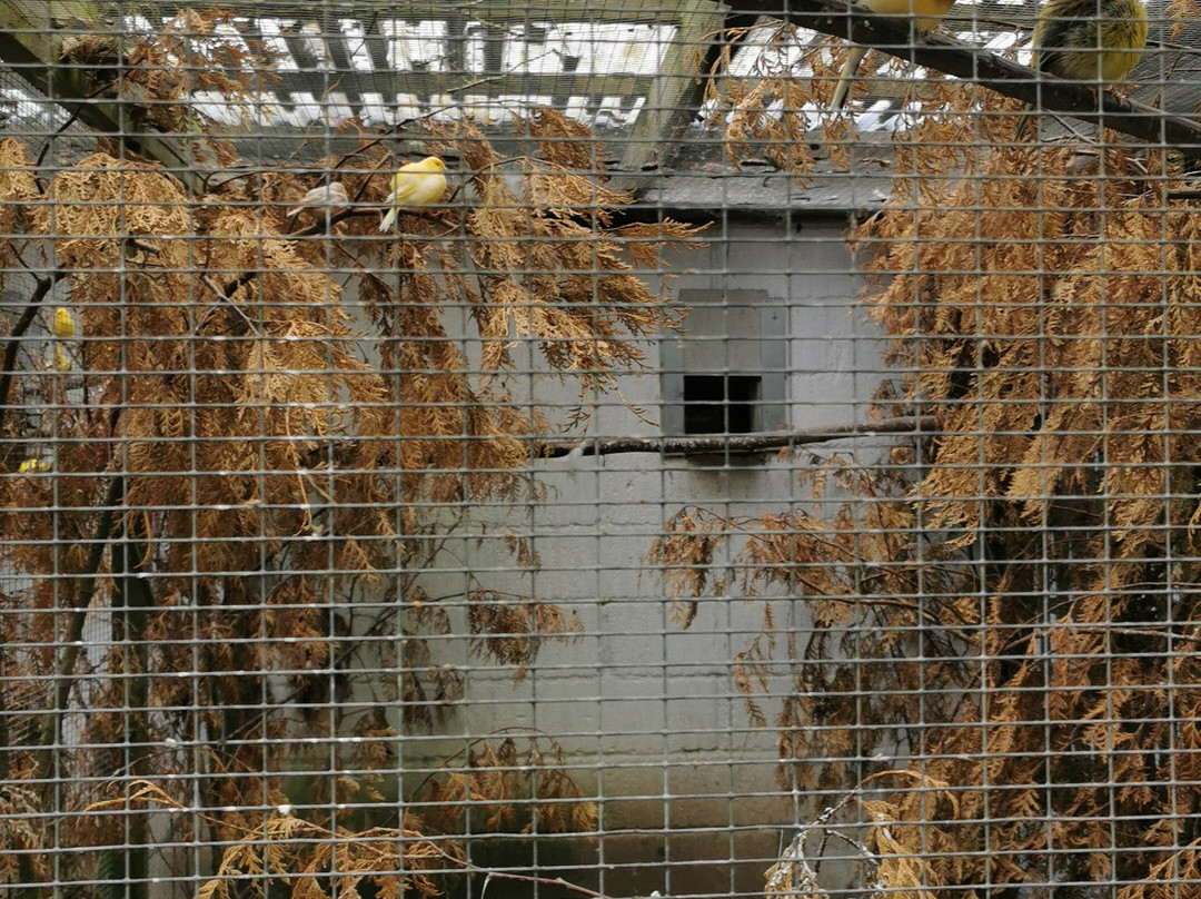 Denmarks Bird Zoo-Tommerup必去景点