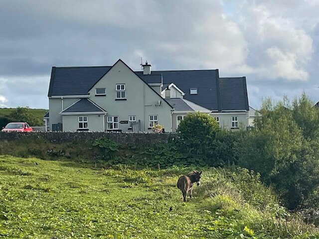 Dunroman House