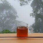 Singell Homestay-酒店景观