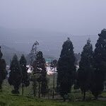 Singell Homestay主图