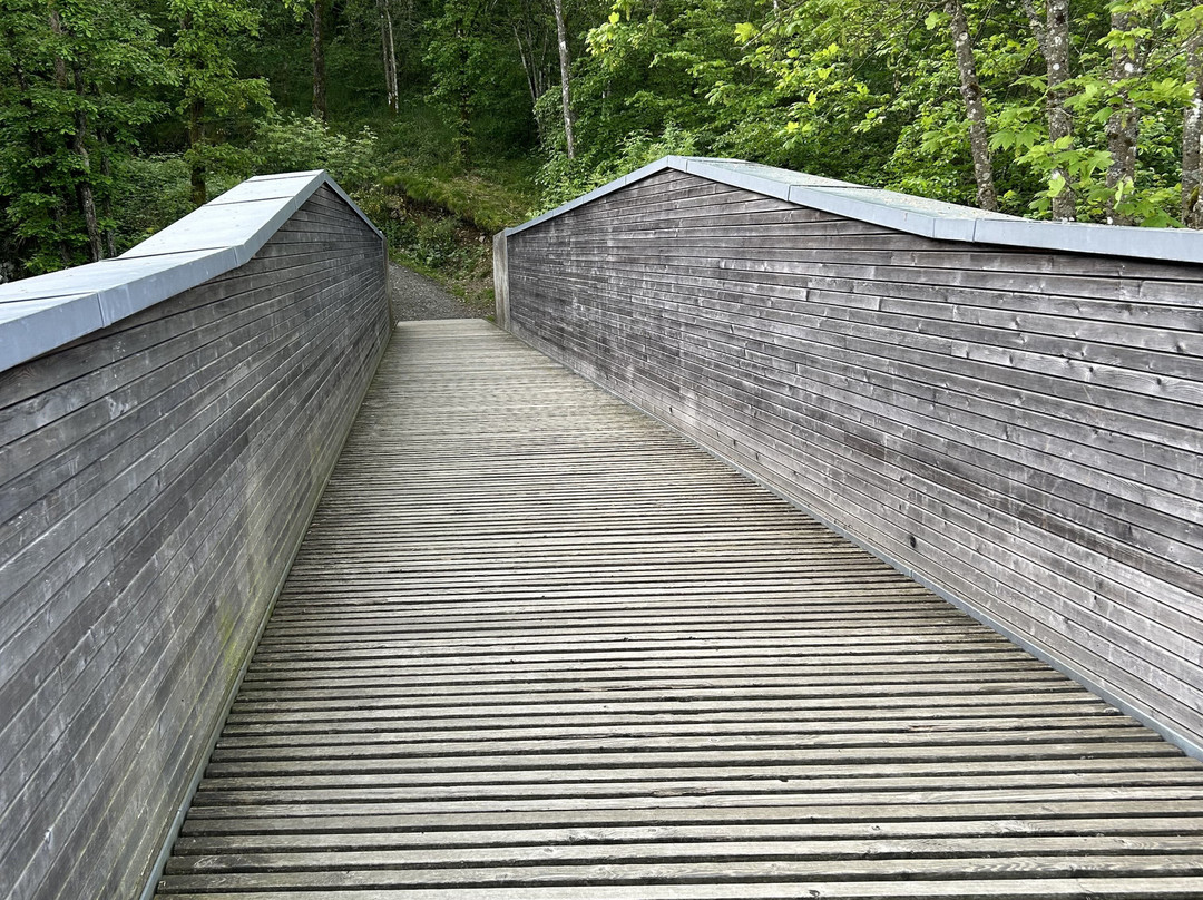 Panorama Platform Belvedere Burfelt-Esch-sur-Sure必去景点