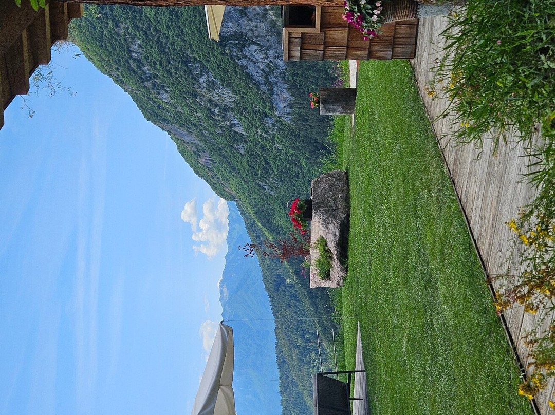 Azienda Agricola & Agriturismo Il Ritorno景点图片