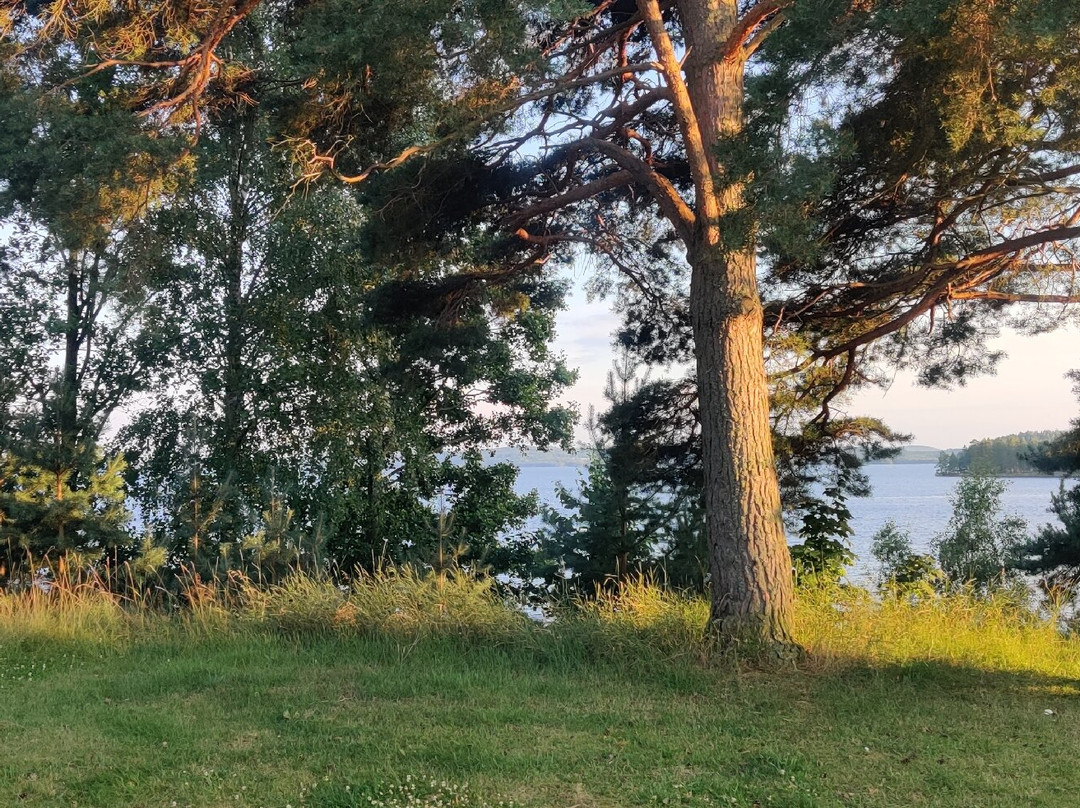 Malexanders Camping