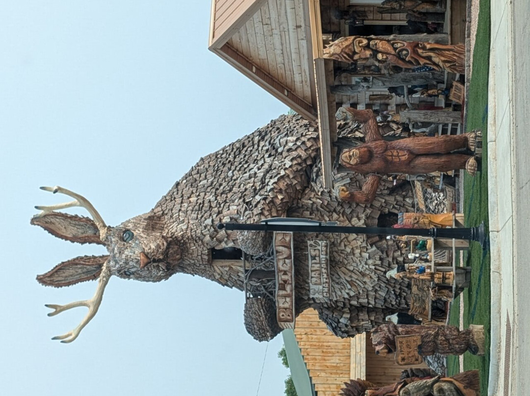 Best Western Plains Motel主图