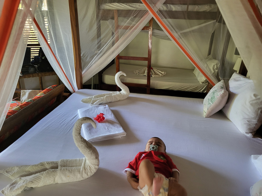 Kizimkazi Dimbani酒店住宿-Lala Land Lodge