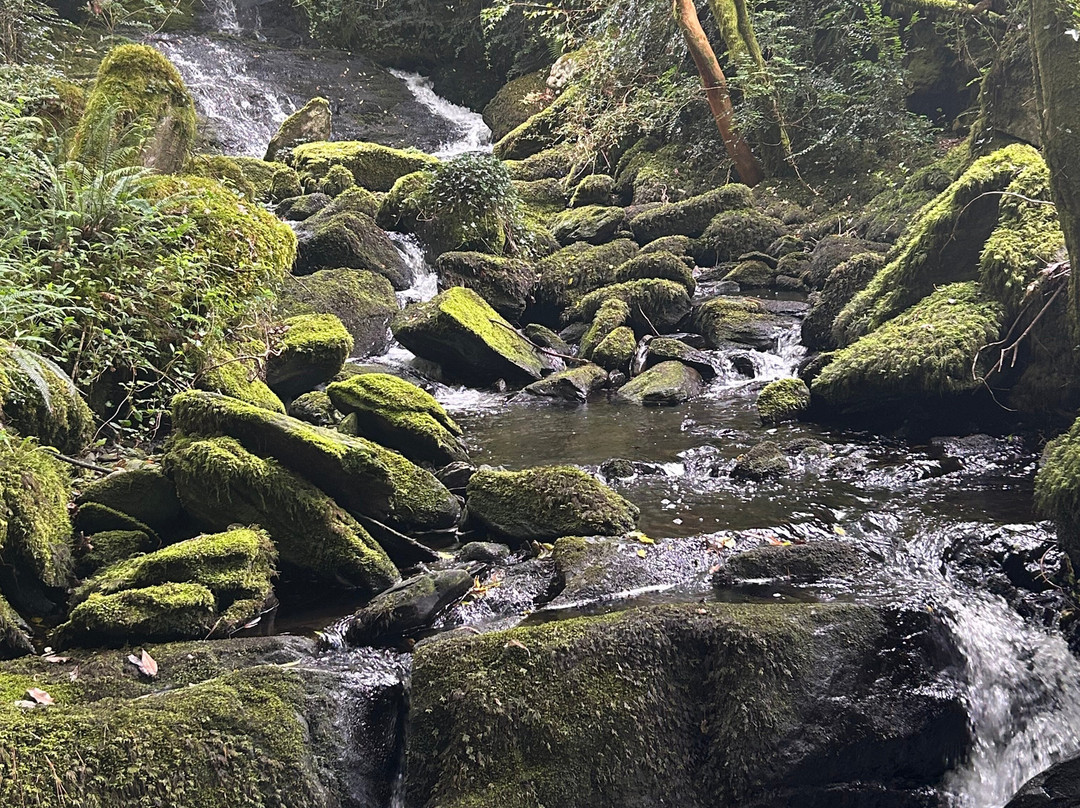 The Ewe Experience-Glengarriff必去景点