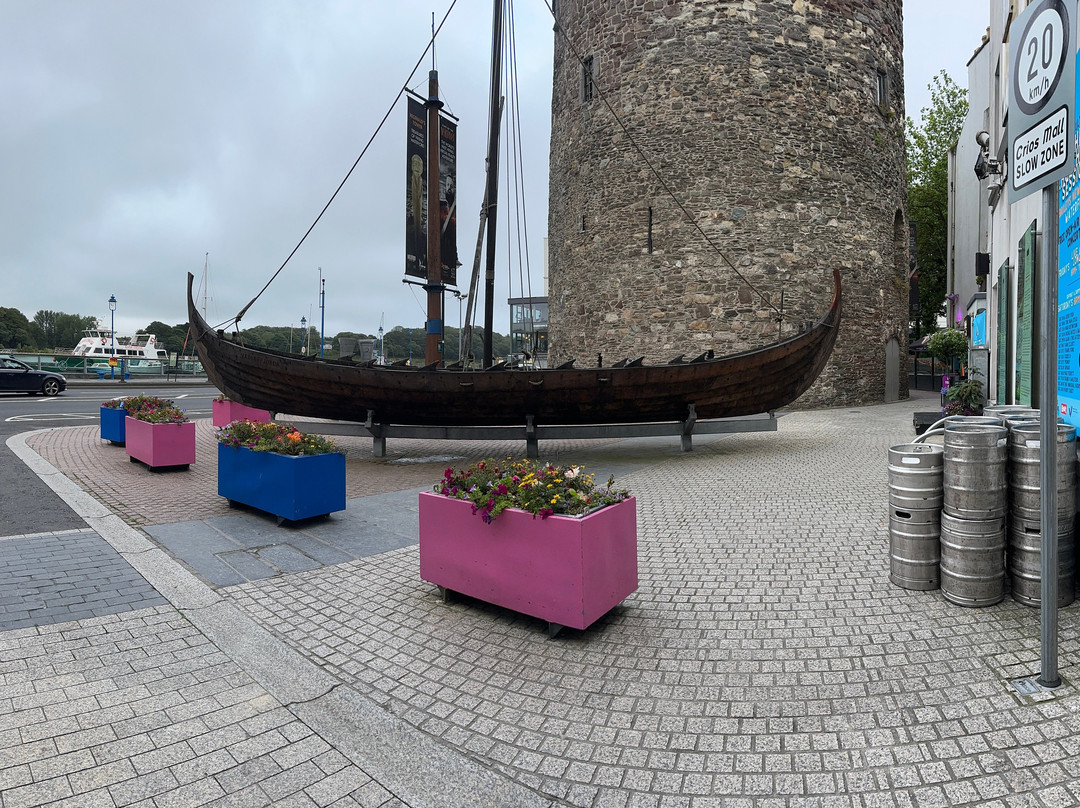 Waterford Treasures: King Of The Vikings-沃特福德必去景点