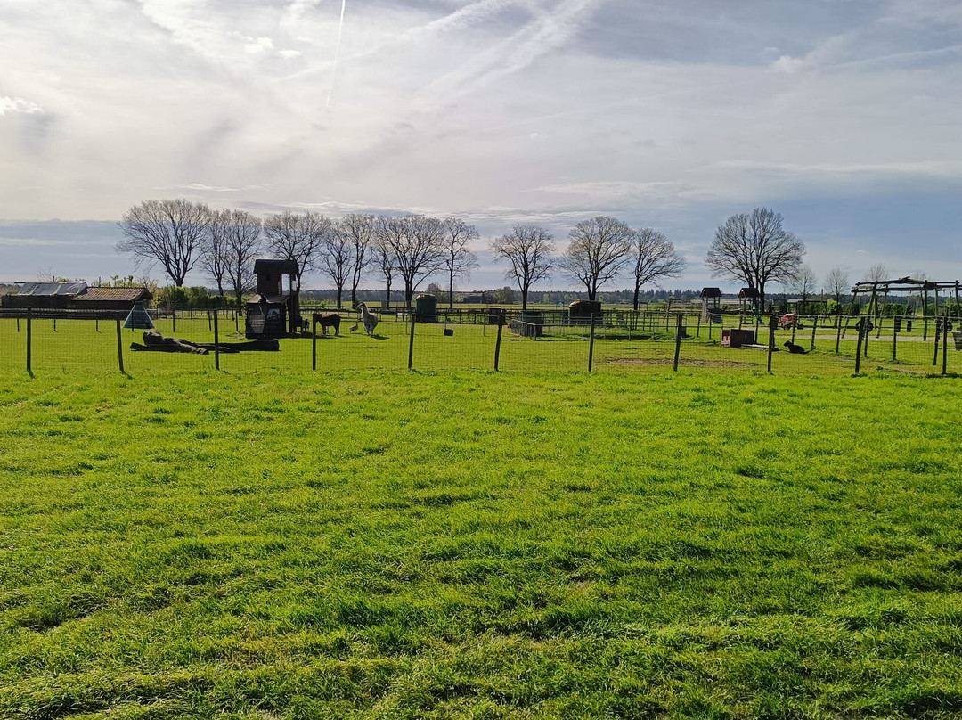 Children's farm playground 't Platteland-Veulen必去景点