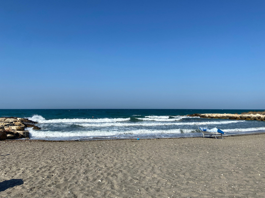 B&B Fenicottero Rosa主图