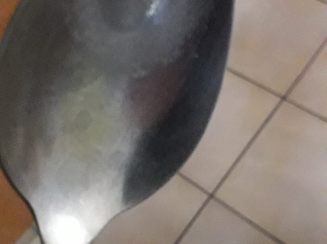 I Giardini di Atena主图