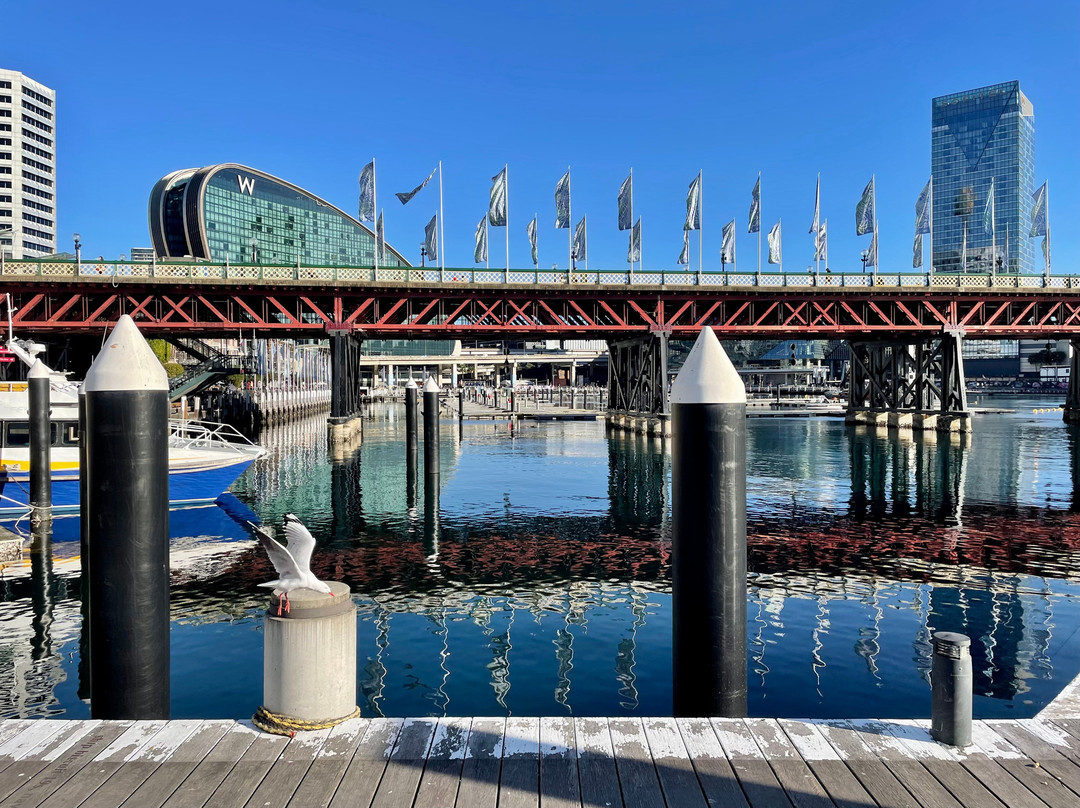 Pyrmont Bridge-悉尼必去景点