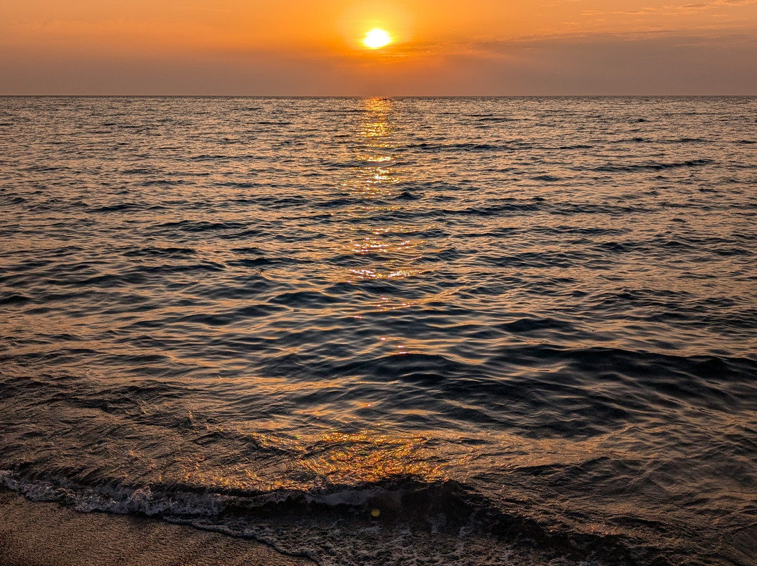 Plaza Palace Hotel主图