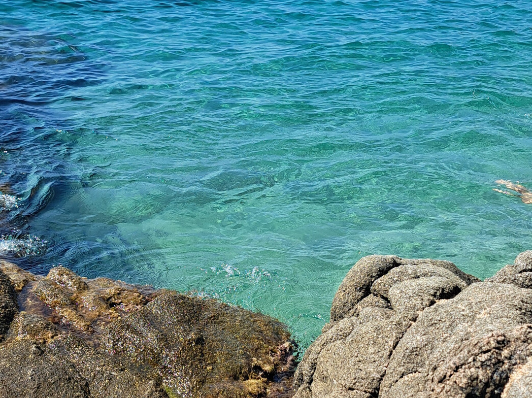 Playa Cala Sa Boadella景点图片