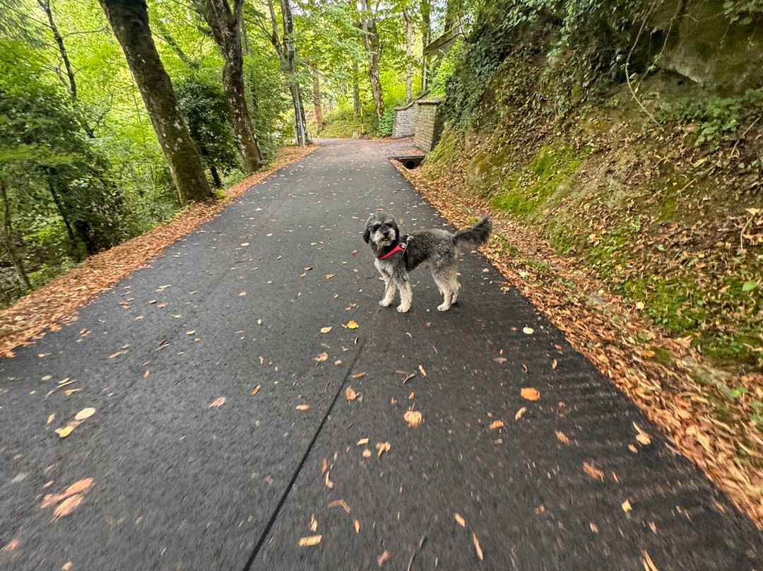 Viale E Fonte Sulfurea Del Chiardovo