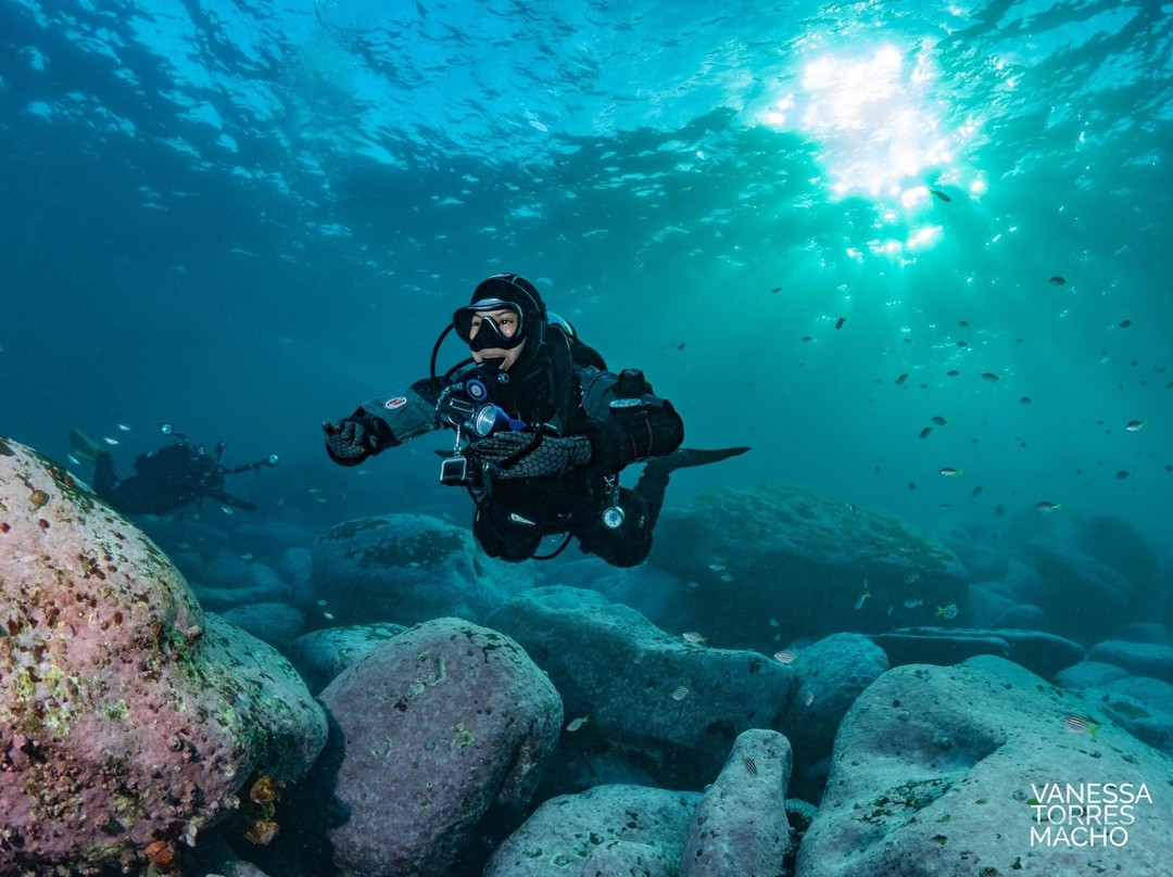 Dive Centre Bondi景点图片