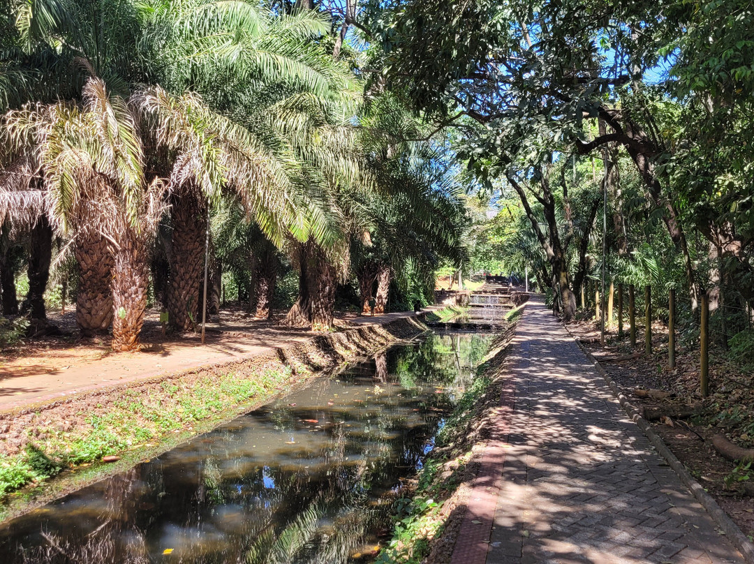 Bosque dos Buritis-戈亚尼亚必去景点