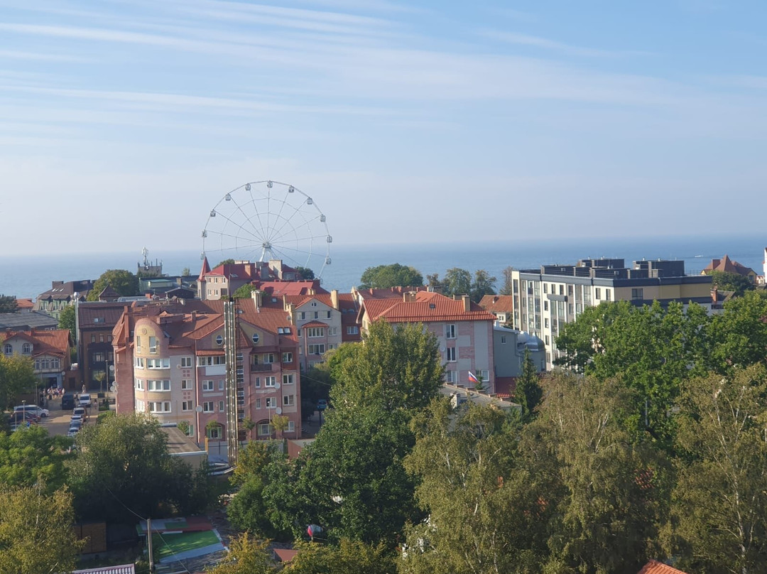 Ferris wheel "Eye of the Baltic"景点图片