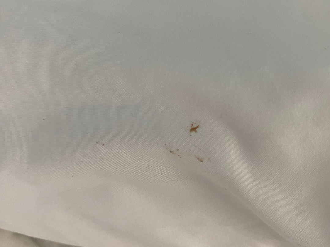 Comfort Suites Ocean City主图