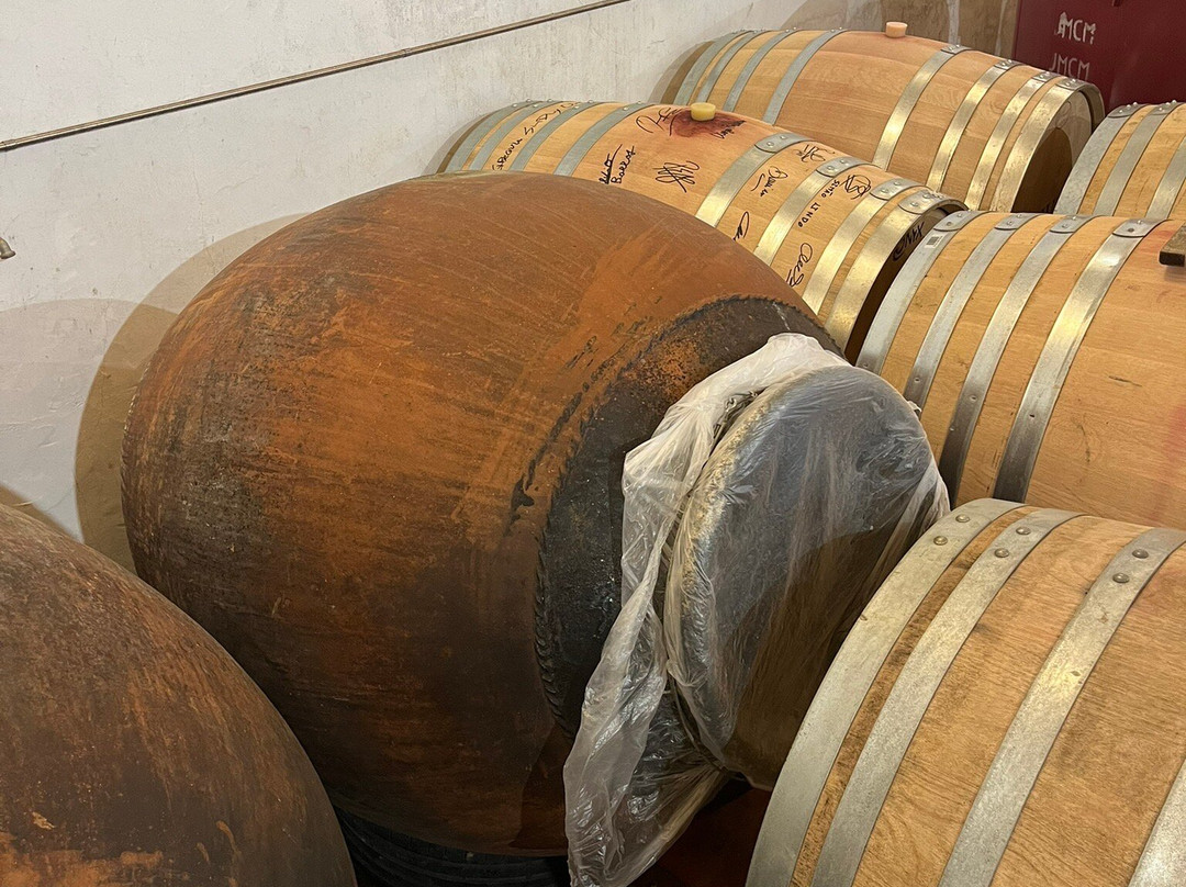 Vinhos Cortém景点图片