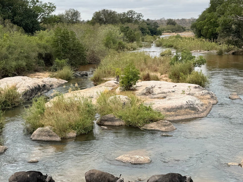 Bubezi Safaris, Tours & Transfers-雾观必去景点