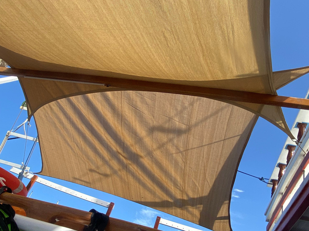 LADY BELLAÏS by Bonaire Cruisers-Kralendijk必去景点