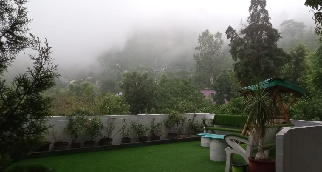 Experto The Greens主图