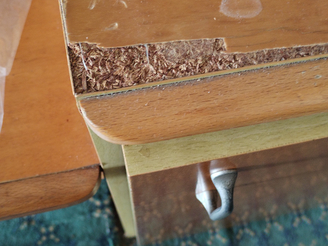 El Mouradi Skanes主图