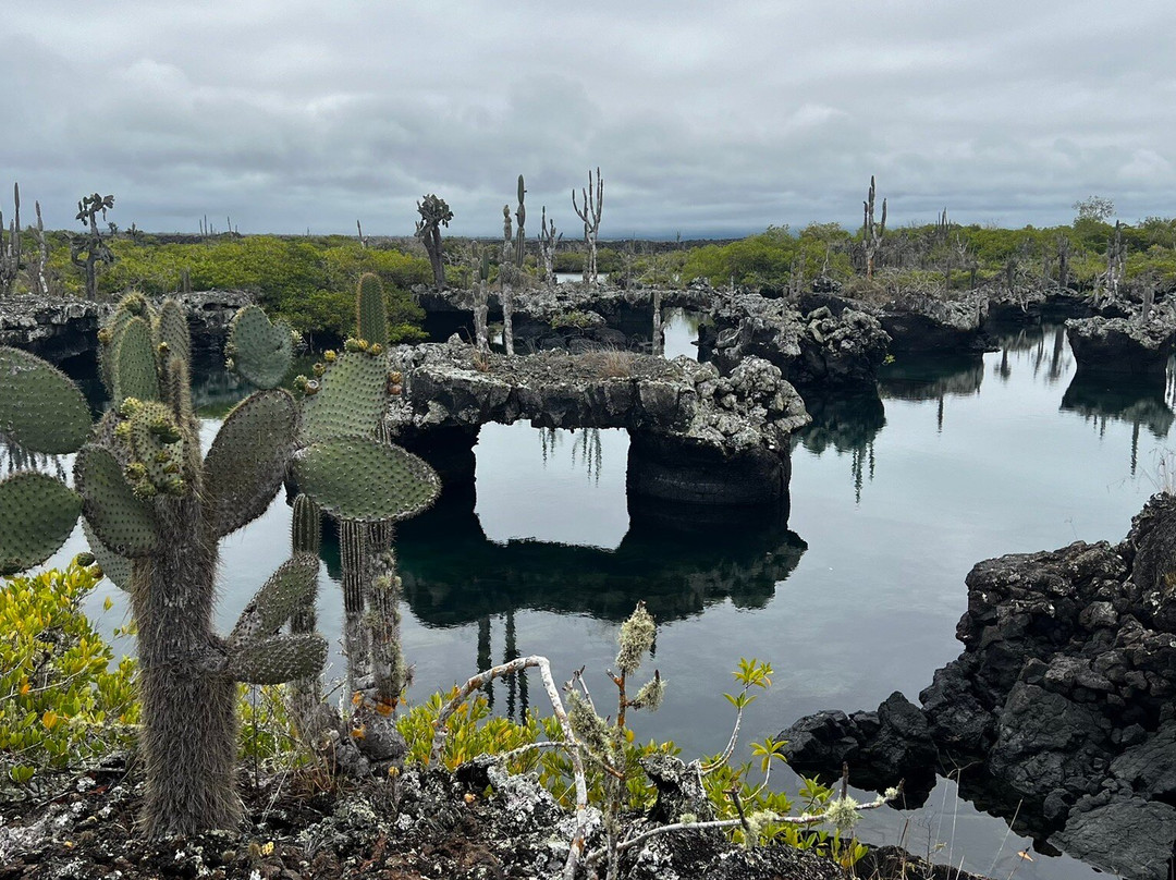 Galapagos Natural Life Tour Operator-加拉帕戈斯群岛必去景点