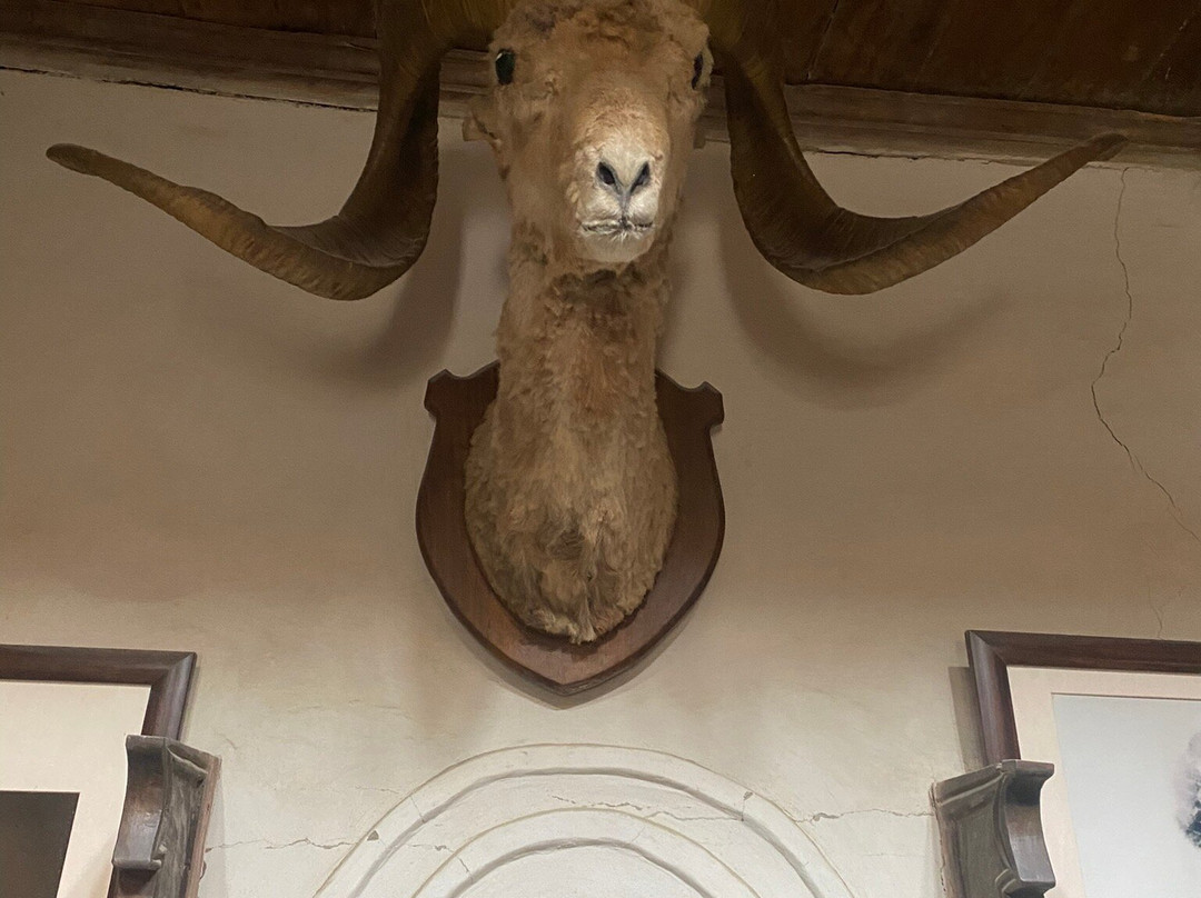 Hunza Serena Hotel主图