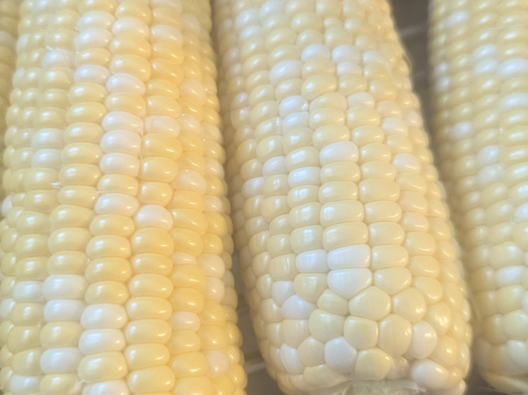 Cranston Farms-安卡斯特必去景点