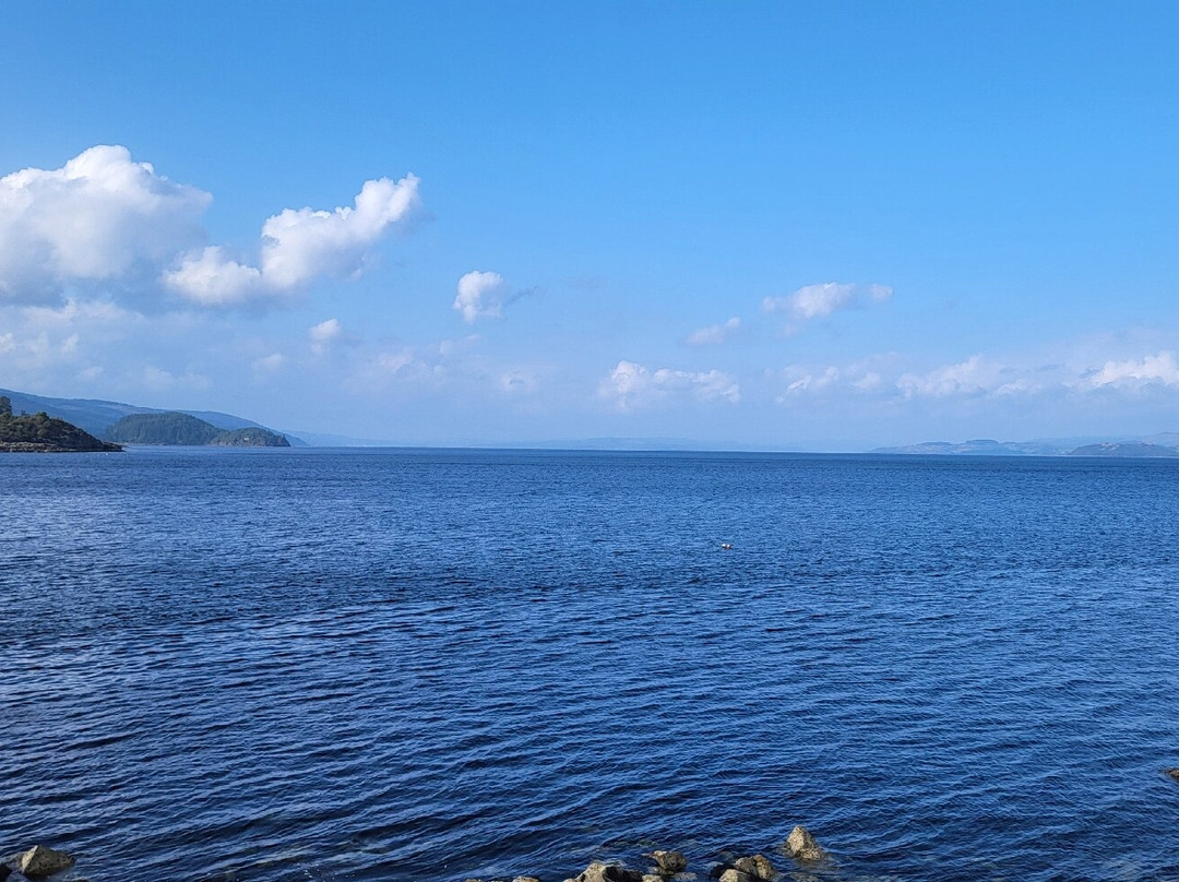 The Tarbert Hotel主图