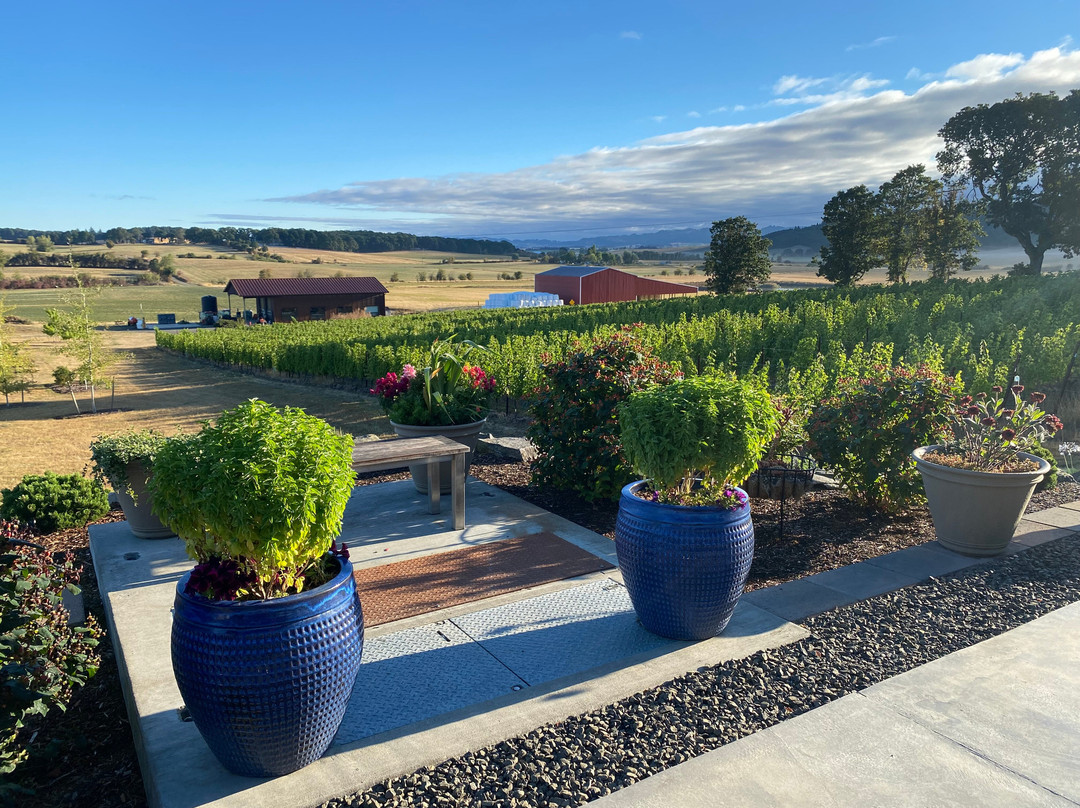 Andante Vineyard-Dallas必去景点