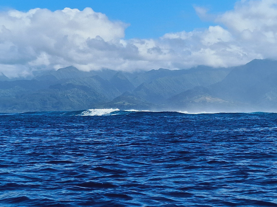 Tahiti Boat Excursion & Surf景点图片
