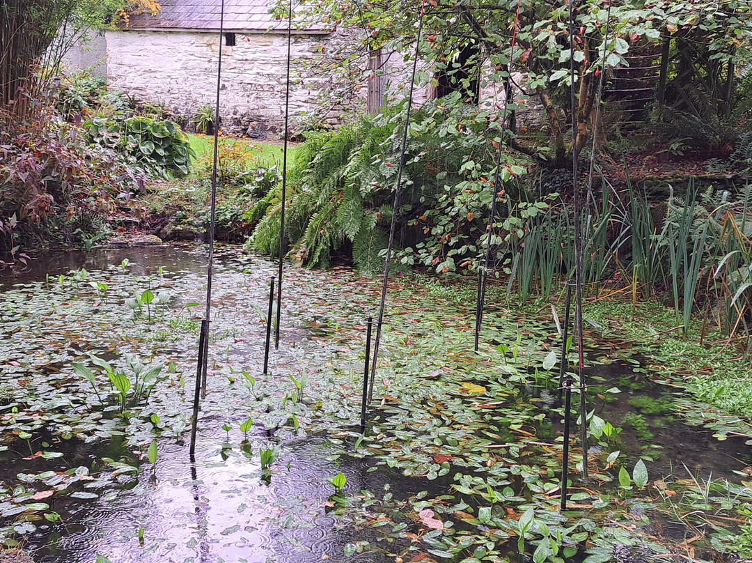 Llwyngarreg Garden景点图片