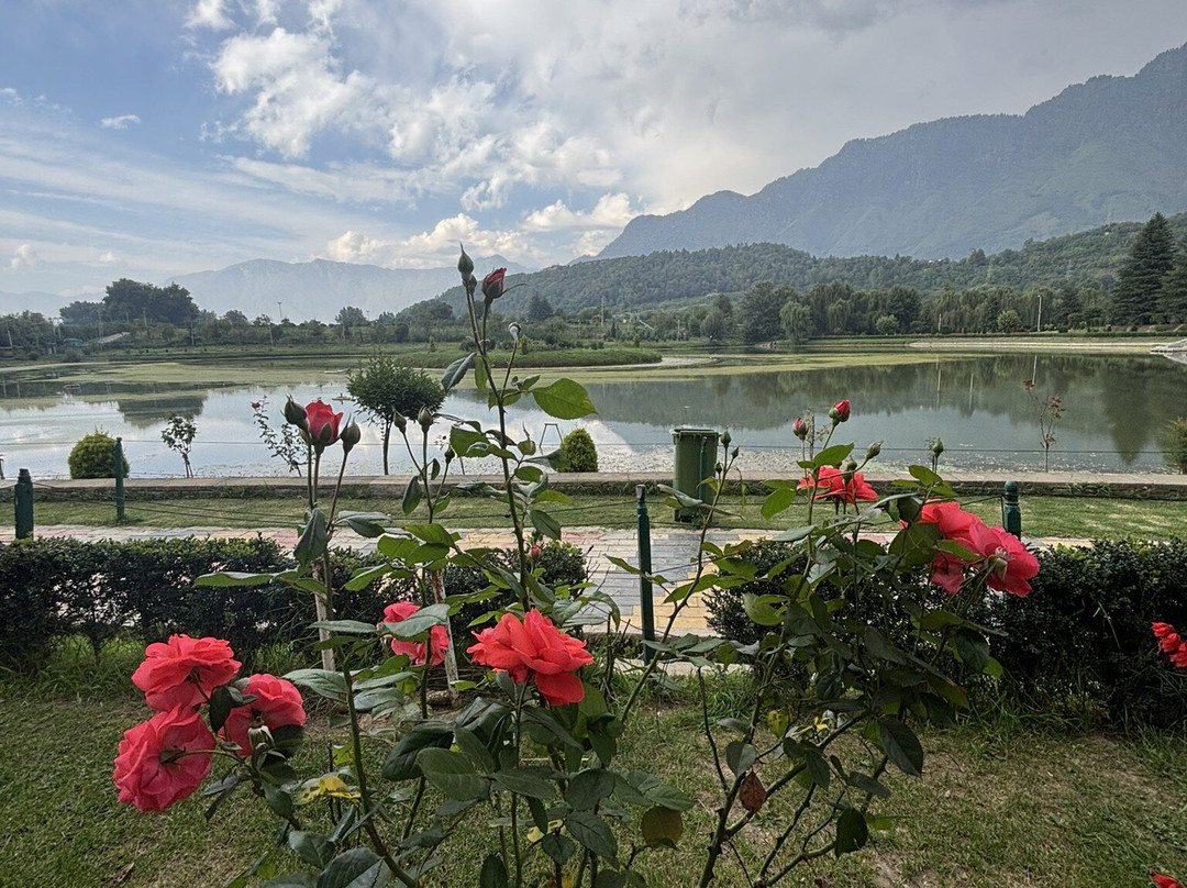 Jawaharlal Nehru Memorial Botanical Gardens-斯利那加必去景点