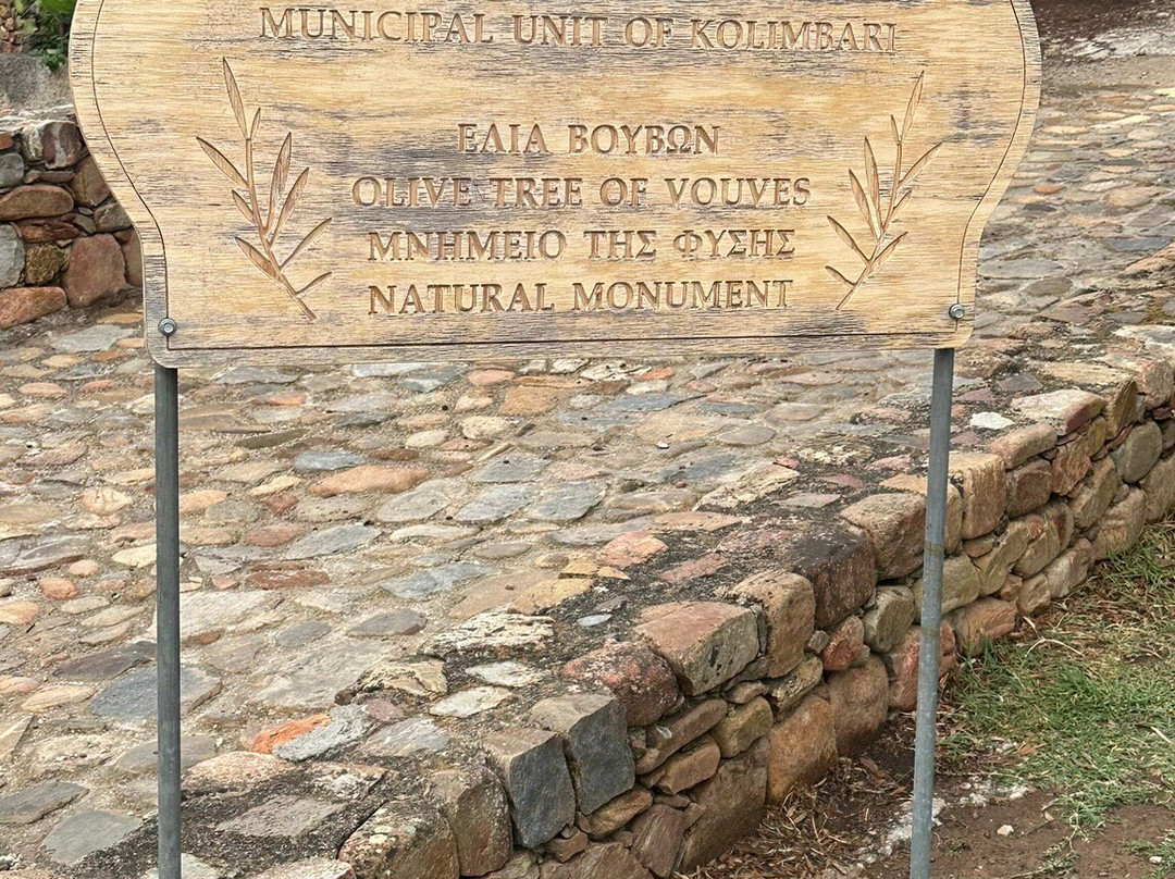 The Monumental Olive Tree of Vouves-Vouves必去景点