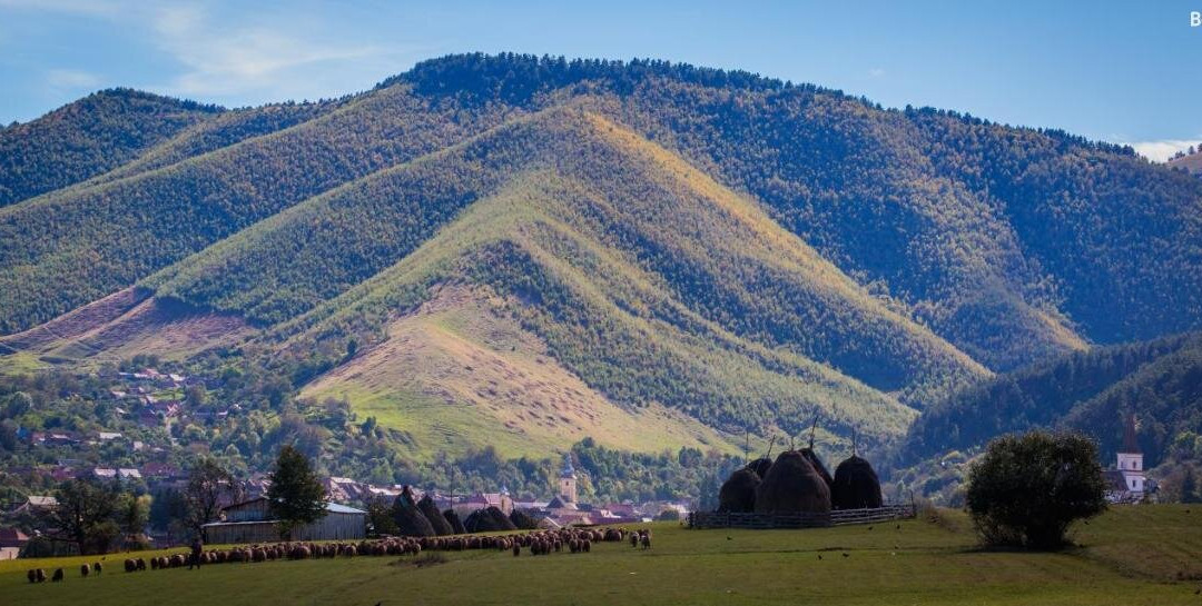 Picturesque Village in Transylvania