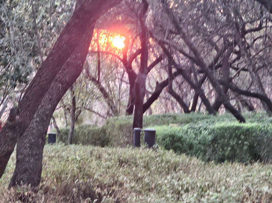 土瓜湾海滨小屋主图