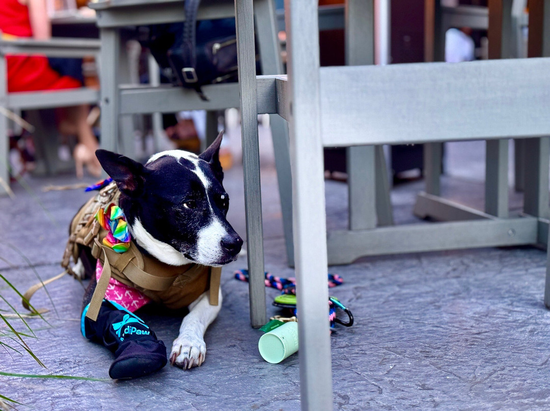 Hotel Zero Degrees Danbury主图