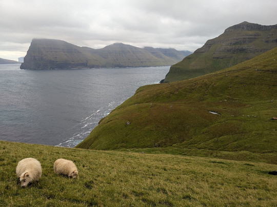 Kallur Lighthouse-Kalsoy必去景点