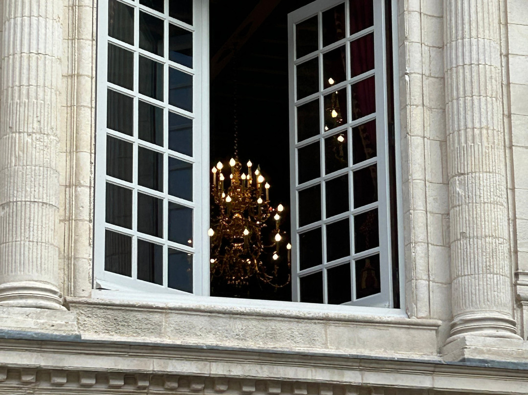 Hotel de Ville景点图片