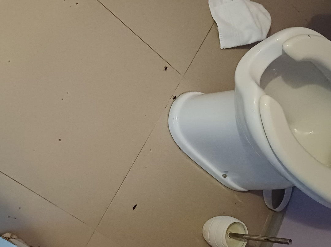 Le Stelline Villaggio Albergo主图