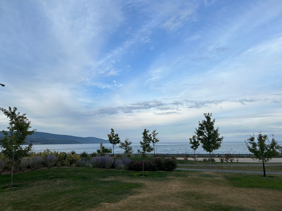 Hôtel Au Petit Berger主图