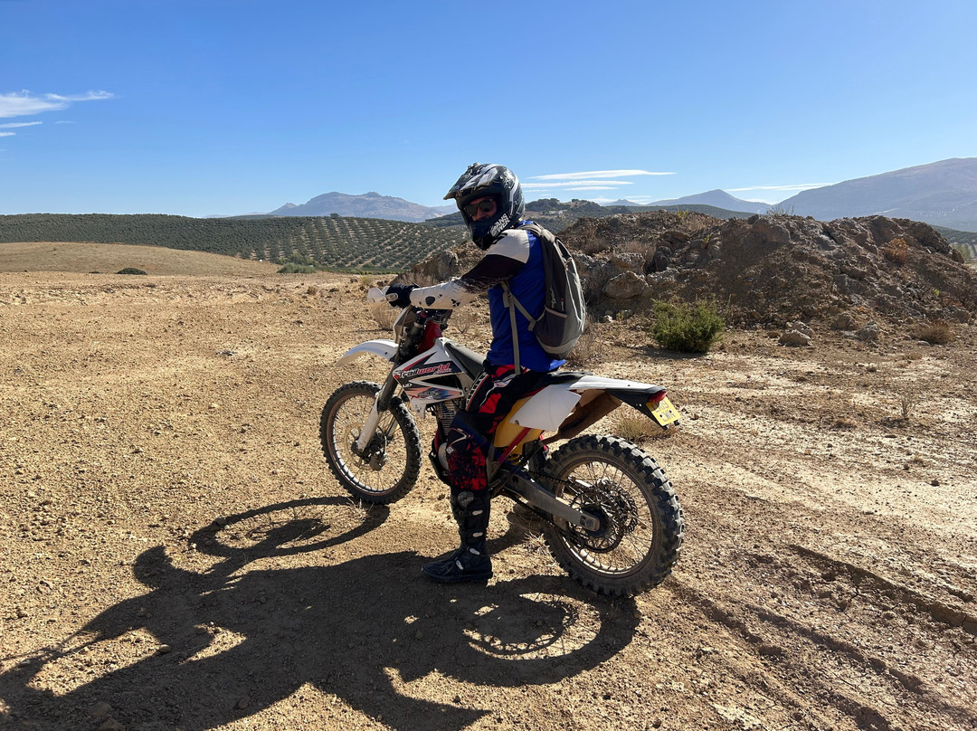 Trailworld景点图片