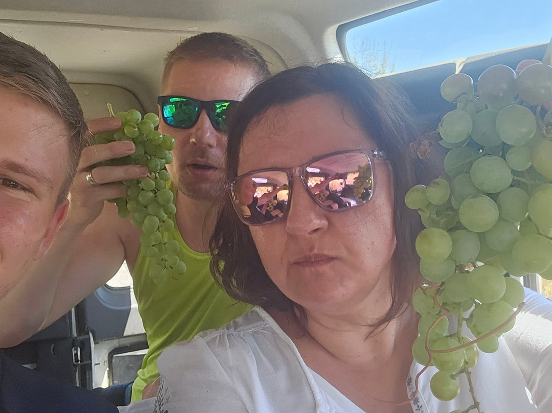 Cretaland Safari-雷斯蒙必去景点