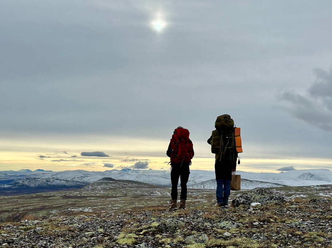 Oppdal Safari-Oppdal必去景点