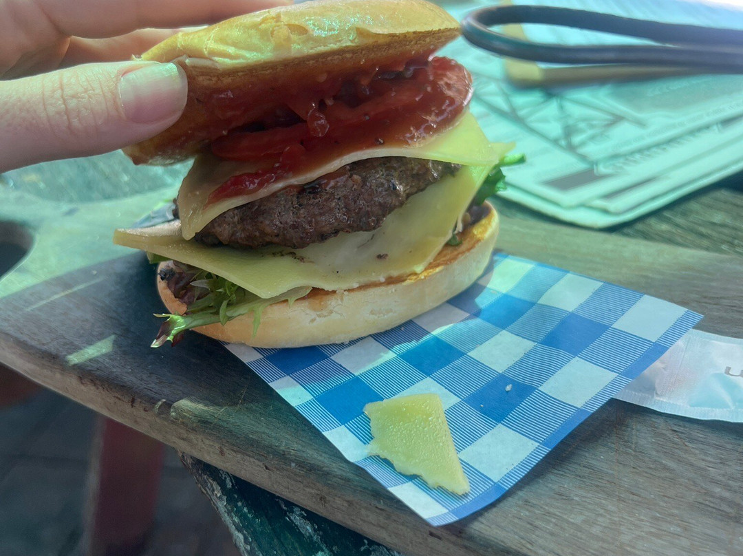 Bearded Dragon Hotel主图