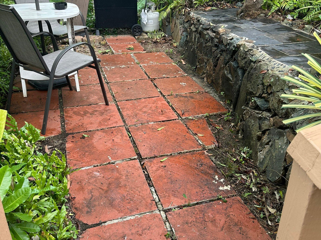 The Green Iguana Hotel主图